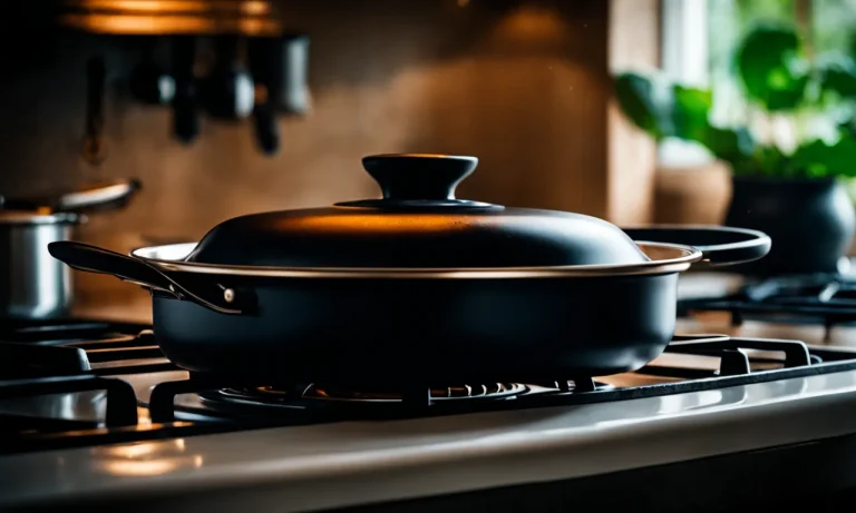 Best Non Stick Pan For Electric Stove (2024 Update)