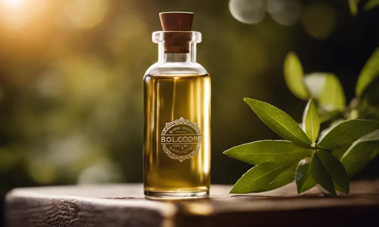 Best Organic Oils For Skin (2024 Update)