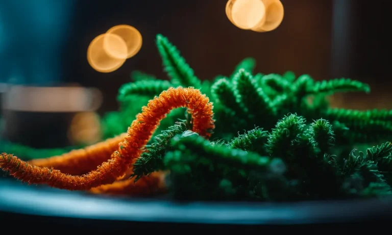 Best Pipe Cleaner For Weed (2024 Update)