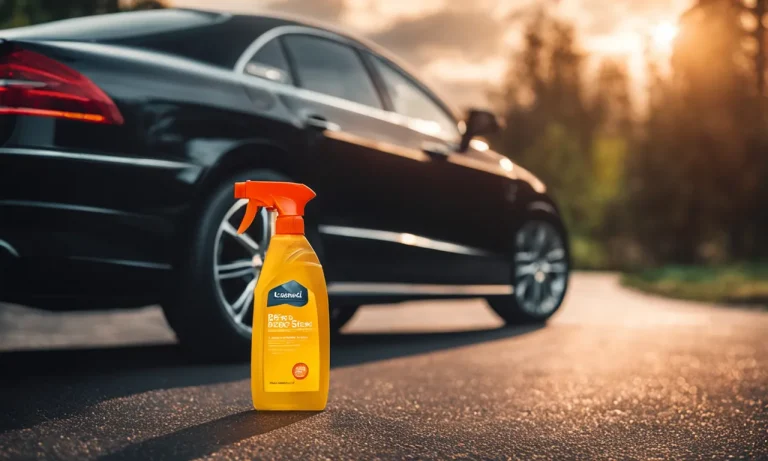 Best Plastic Cleaner For Cars (2024 Update)