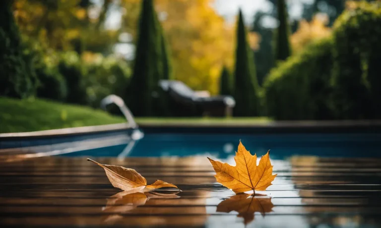 Best Pool Cleaner For Leaves (2024 Update)