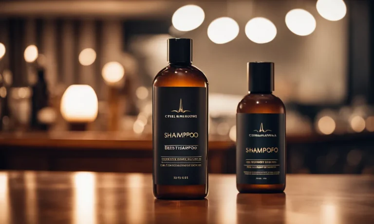 Best Shampoo For Brown Hair (2024 Update)