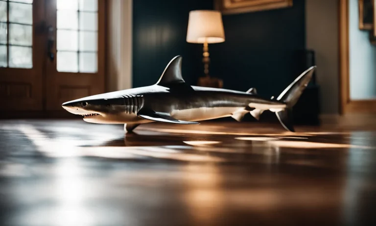 Best Shark For Hardwood Floors (2024 Update)