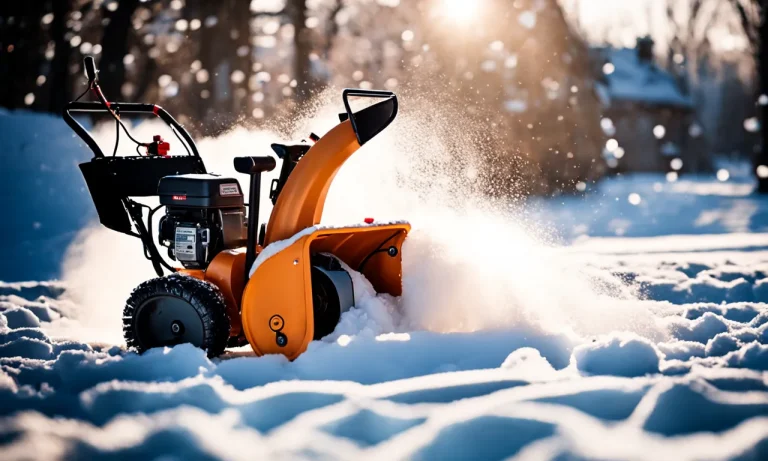 Best Small Electric Snow Blower (2024 Update)