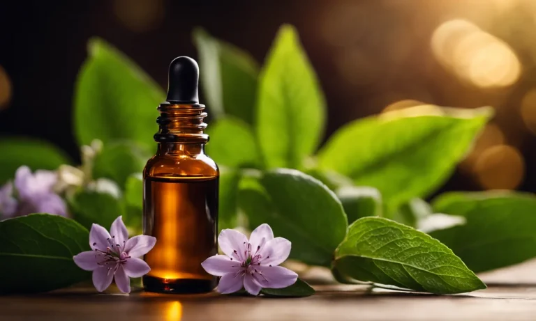 Best Smelling Essential Oils For Hair (2024 Update)