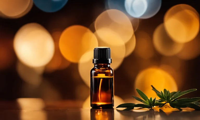 Best Smelling Essential Oils For Skin (2024 Update)