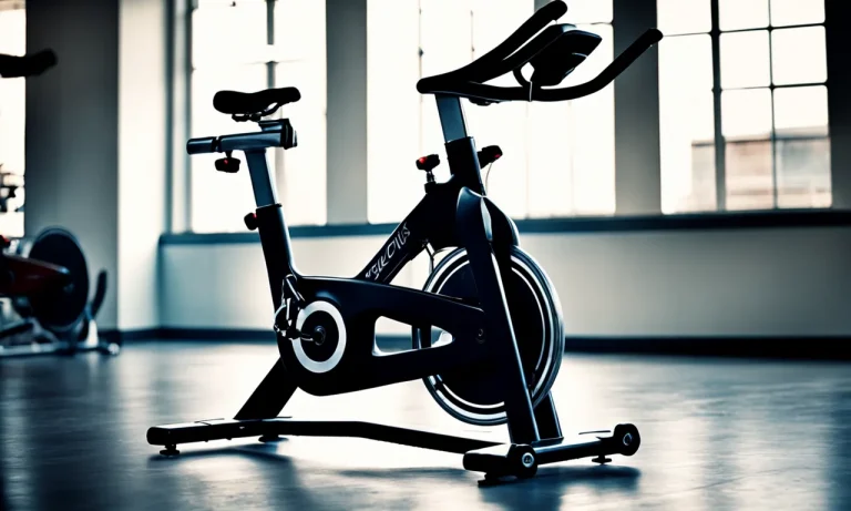 Best Stationary Bike For Heavy Person (2023 Update)