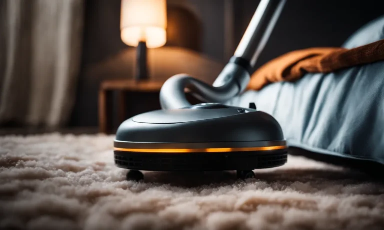 Best Steam Cleaner For Bed Bugs (2024 Update)