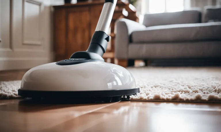 Best Steam Cleaner For Carpets With Pets (2024 Update)