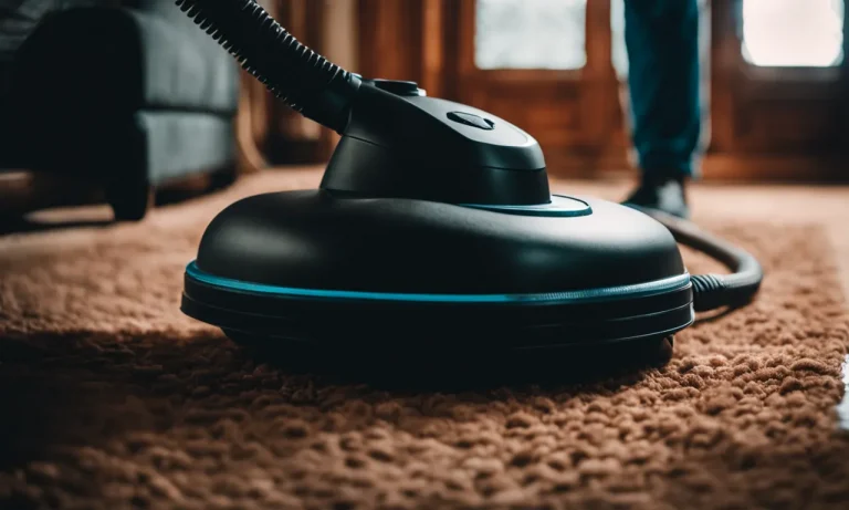 Best Steam Cleaner To Kill Bed Bugs (2023 Update)