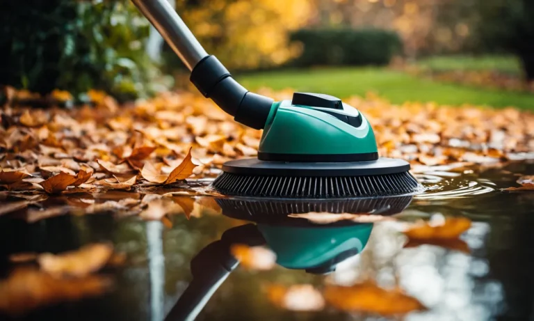 Best Suction Pool Cleaner For Leaves (2024 Update)