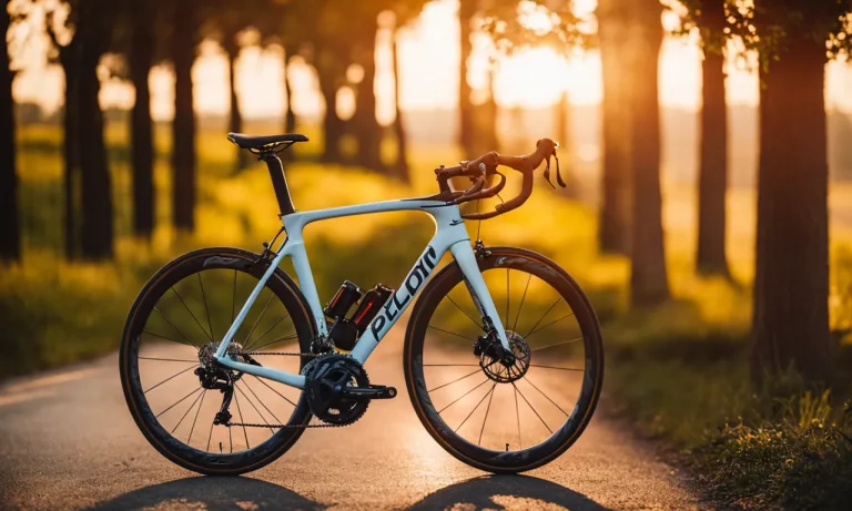 Best Sunny Bike For Peloton (2024 Update)