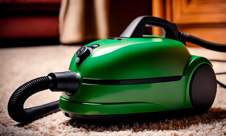Best Vacuum Cleaner For Bed Bugs (2024 Update)