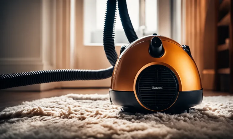 Best Vacuum Cleaner For Dust Mites (2024 Update)