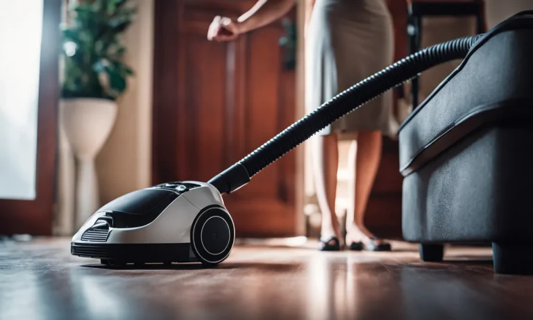 Best Vacuum Cleaner For Fleas (2024 Update)