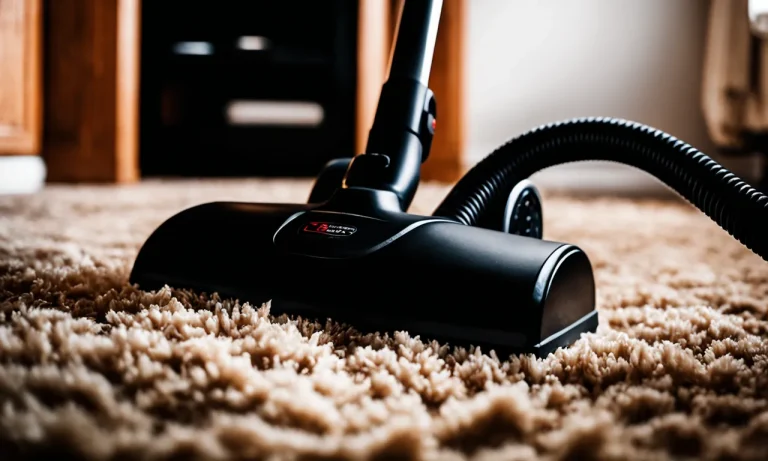 Best Vacuum Cleaner For Shag Carpet (2024 Update)
