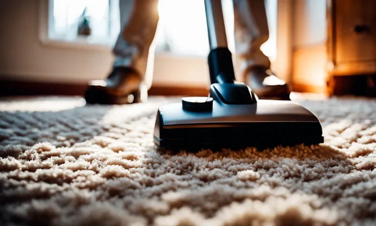 Best Vacuum For Frieze Carpet (2024 Update)