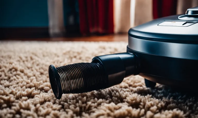 Best Vacuum For Human Hair On Carpet (2024 Update)
