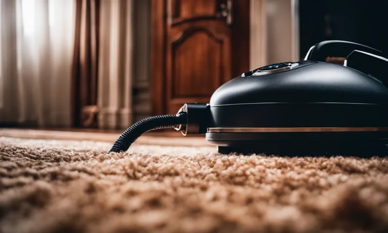Best Vacuum For Long Hair Carpet (2024 Update)