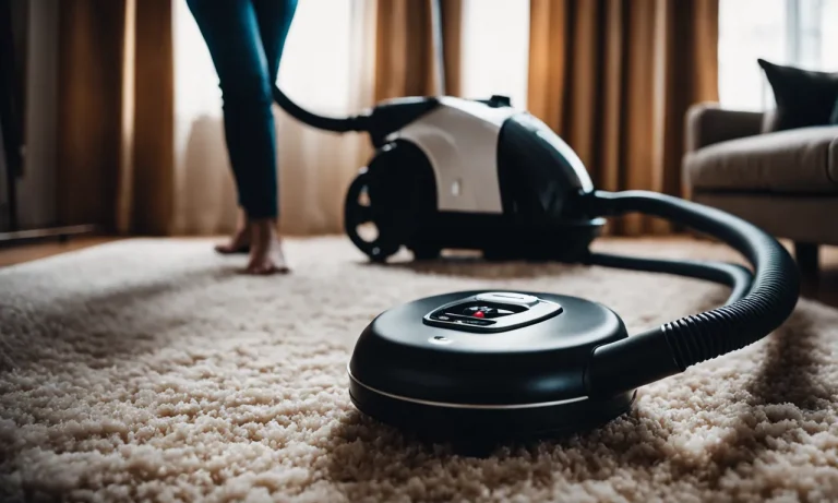 Best Vacuum For Shag Carpet (2024 Update)