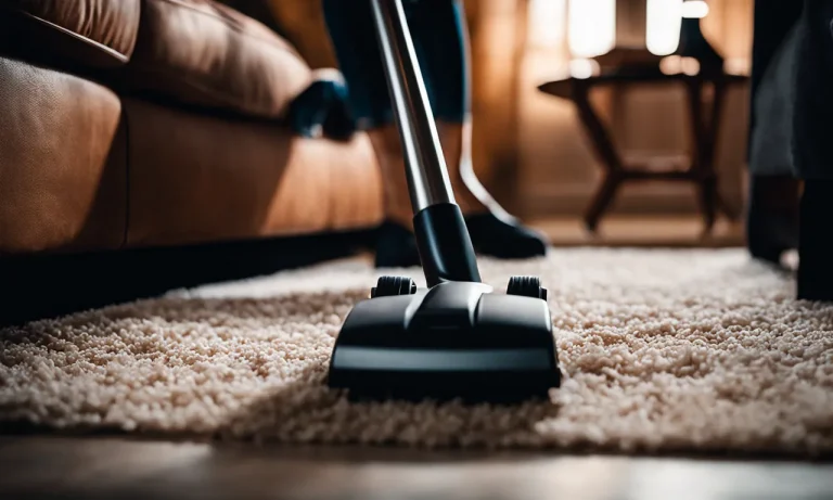 Best Vacuum For Thick Rugs (2024 Update)