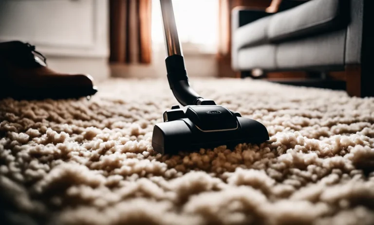 Best Vacuum For Wool Loop Carpet (2024 Update)