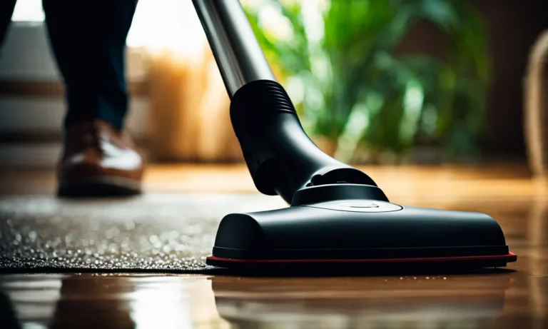 Best Wet Vacuum Cleaner For Car (2023 Update)