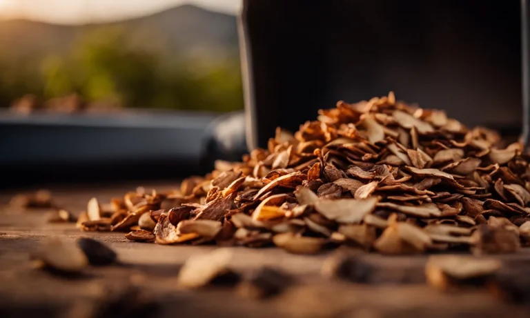 Best Wood Chips For Masterbuilt Electric Smoker (2023 Update)