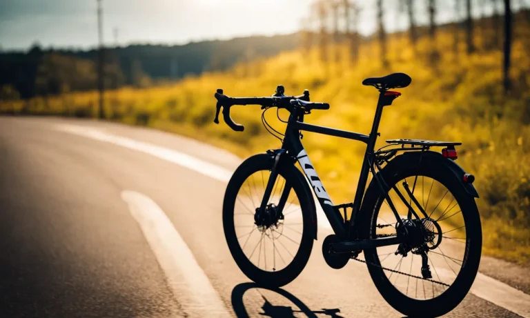 Best Bike Seat For Sciatica (2025 Update)