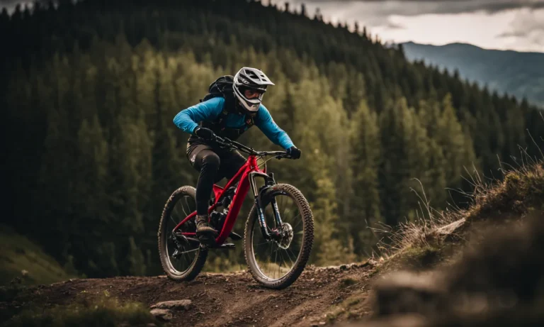 Best Budget Downhill Mountain Bike (2024 Update)