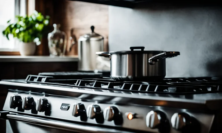 Best Commercial Gas Range For Home Use (2024 Update)