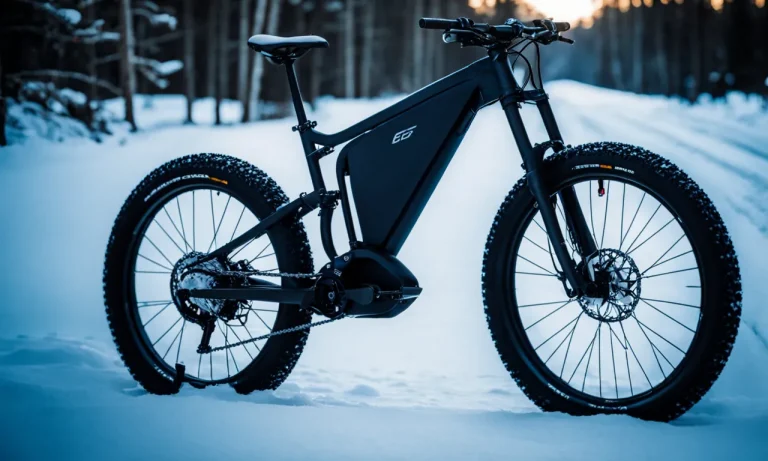 Best Electric Bike For Snow (2024 Update)