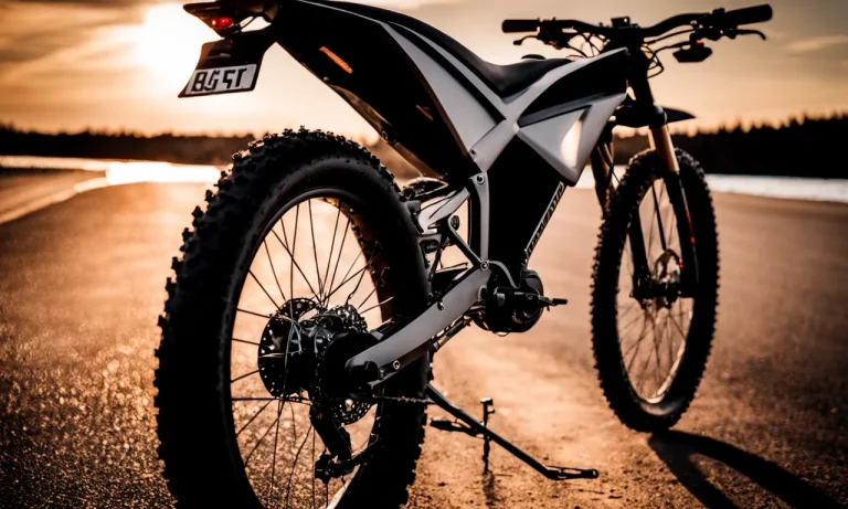 Best Electric Bikes For Hunting (2024 Update)