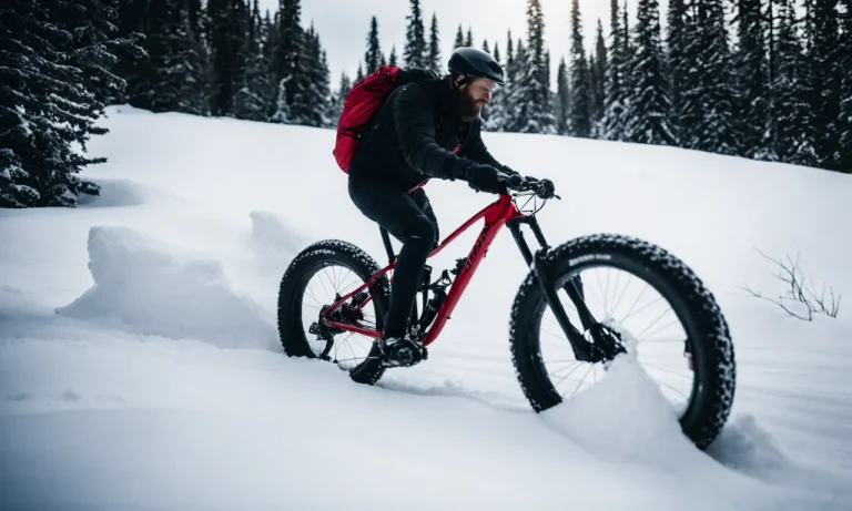 Best Fat Bike For Snow (2024 Update)