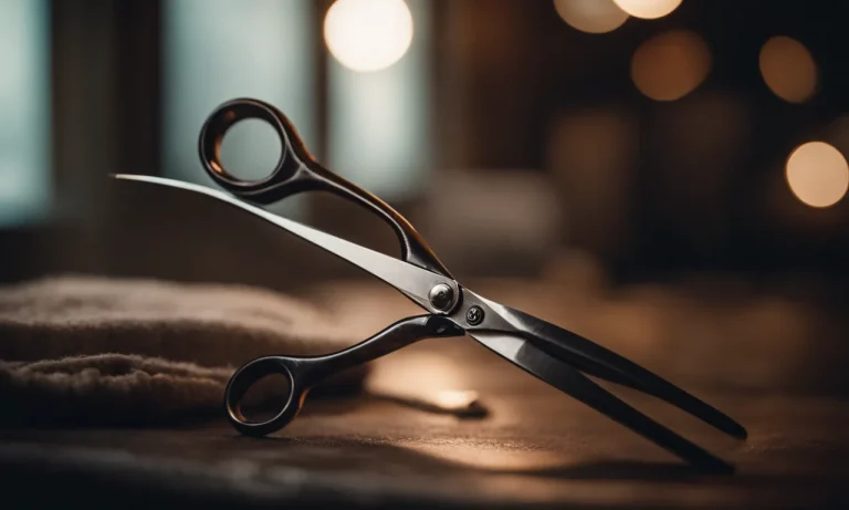 Best Left Handed Hair Scissors (2023 Update)