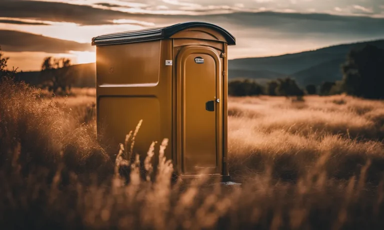 Best Portable Toilet For Home Use (2023 Update)