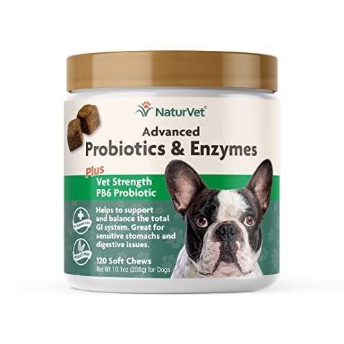 Best Probiotics For Dogs With Itchy Skin (2024 Update) Pubbelly